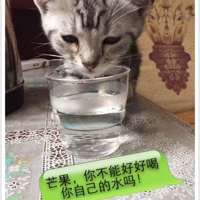 香川県立保健医療大学教育部认证办理